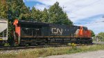 CN 3102